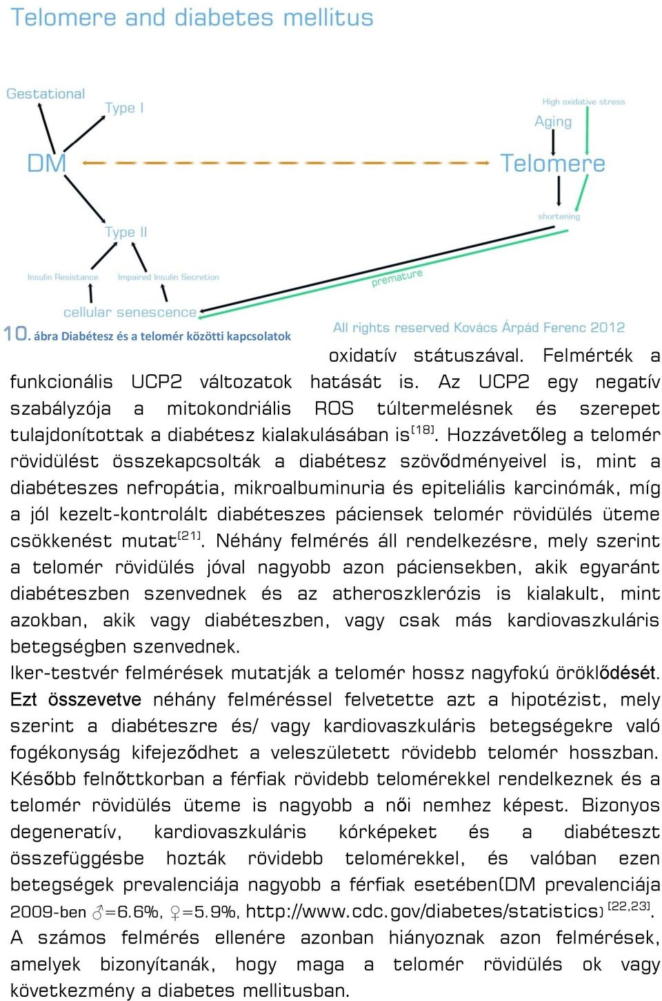 Hozzávetőleg a telomér rövidülést összekapcsolták a diabétesz szövődményeivel is, mint a diabéteszes nefropátia, mikroalbuminuria és epiteliális karcinómák, míg a jól kezelt-kontrolált diabéteszes