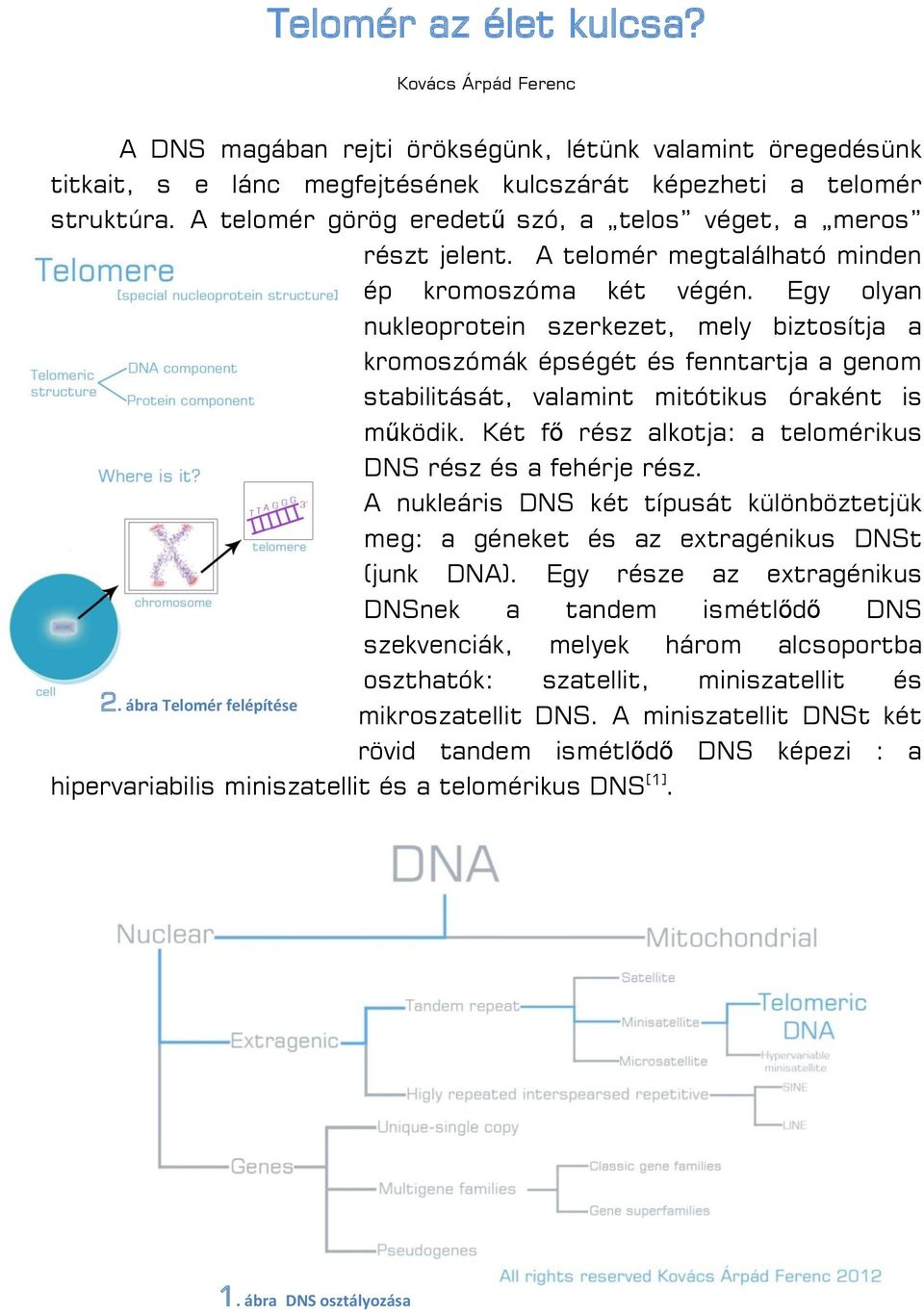 Egy olyan nukleoprotein szerkezet, mely biztosítja a kromoszómák épségét és fenntartja a genom stabilitását, valamint mitótikus óraként is működik.