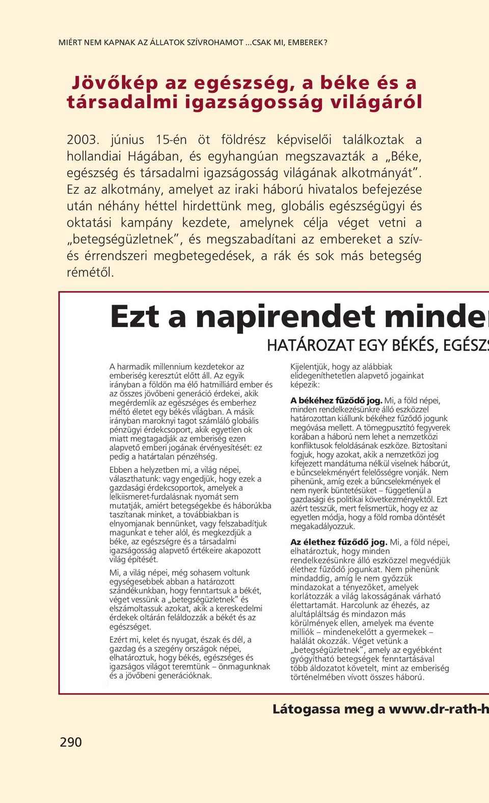 Ez az alkotmány, amelyet az iraki háború hivatalos befejezése után néhány héttel hirdettünk meg, globális egészségügyi és oktatási kampány kezdete, amelynek célja véget vetni a betegségüzletnek, és