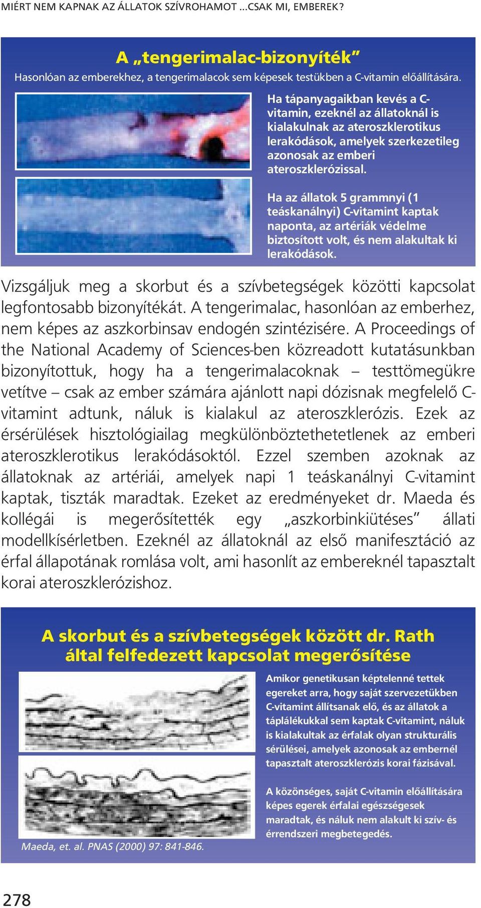 Ha az állatok 5 grammnyi (1 teáskanálnyi) C-vitamint kaptak naponta, az artériák védelme biztosított volt, és nem alakultak ki lerakódások.