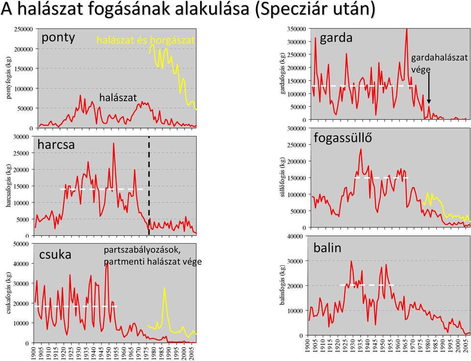 1925 193 1935 194 1945 195 1955 196 1965 197 1975 198 1985 199 1995 2 25 süllőfogás (kg) 2 15 1 5 5 4 3 2 1 19 195 191 1915 192 1925 193 1935 194 1945 195 1955 196 1965 197 1975 198 1985 199 1995 2