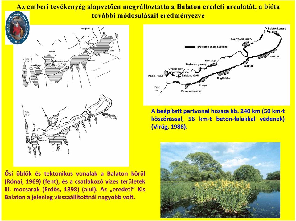 24 km (5 km t köszórással, 56 km t beton falakkal védenek) (Virág, 1988).