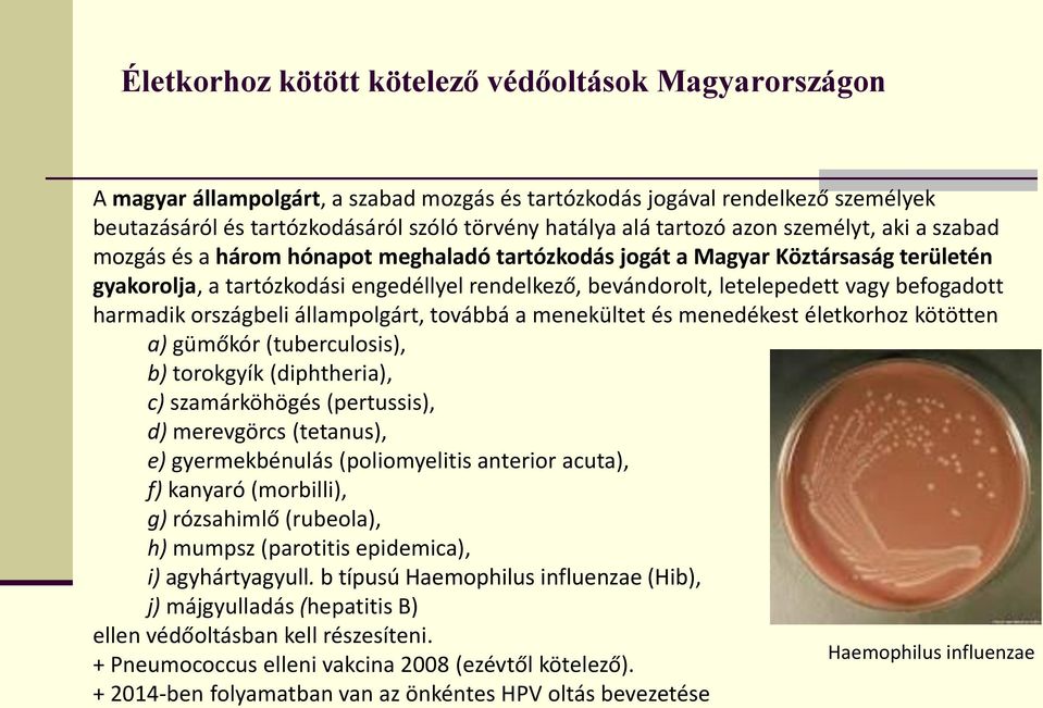 vagy befogadott harmadik országbeli állampolgárt, továbbá a menekültet és menedékest életkorhoz kötötten a) gümőkór (tuberculosis), b) torokgyík (diphtheria), c) szamárköhögés (pertussis), d)