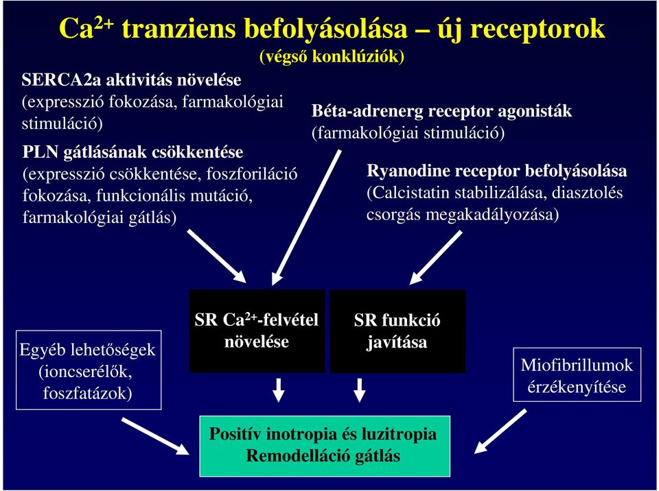 agonisták (farmakológiai stimuláció) Ryanodine receptor befolyásolása (Calcistatin stabilizálása, diasztolés csorgás megakadályozása) Egyéb