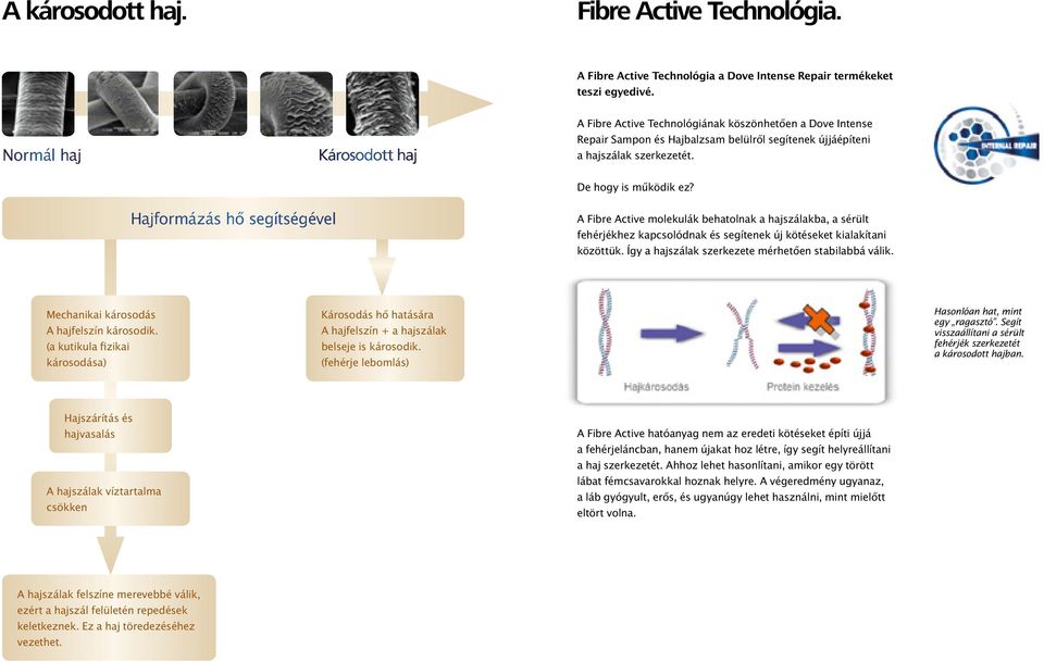 Hajformázás hő segítségével A Fibre Active molekulák behatolnak a hajszálakba, a sérült fehérjékhez kapcsolódnak és segítenek új kötéseket kialakítani közöttük.