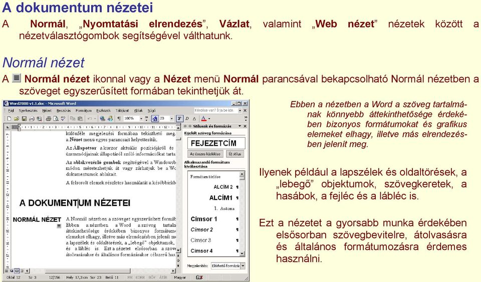 Ebben a nézetben a Word a szöveg tartalmának könnyebb áttekinthetősége érdekében bizonyos formátumokat és grafikus elemeket elhagy, illetve más elrendezésben jelenít meg.