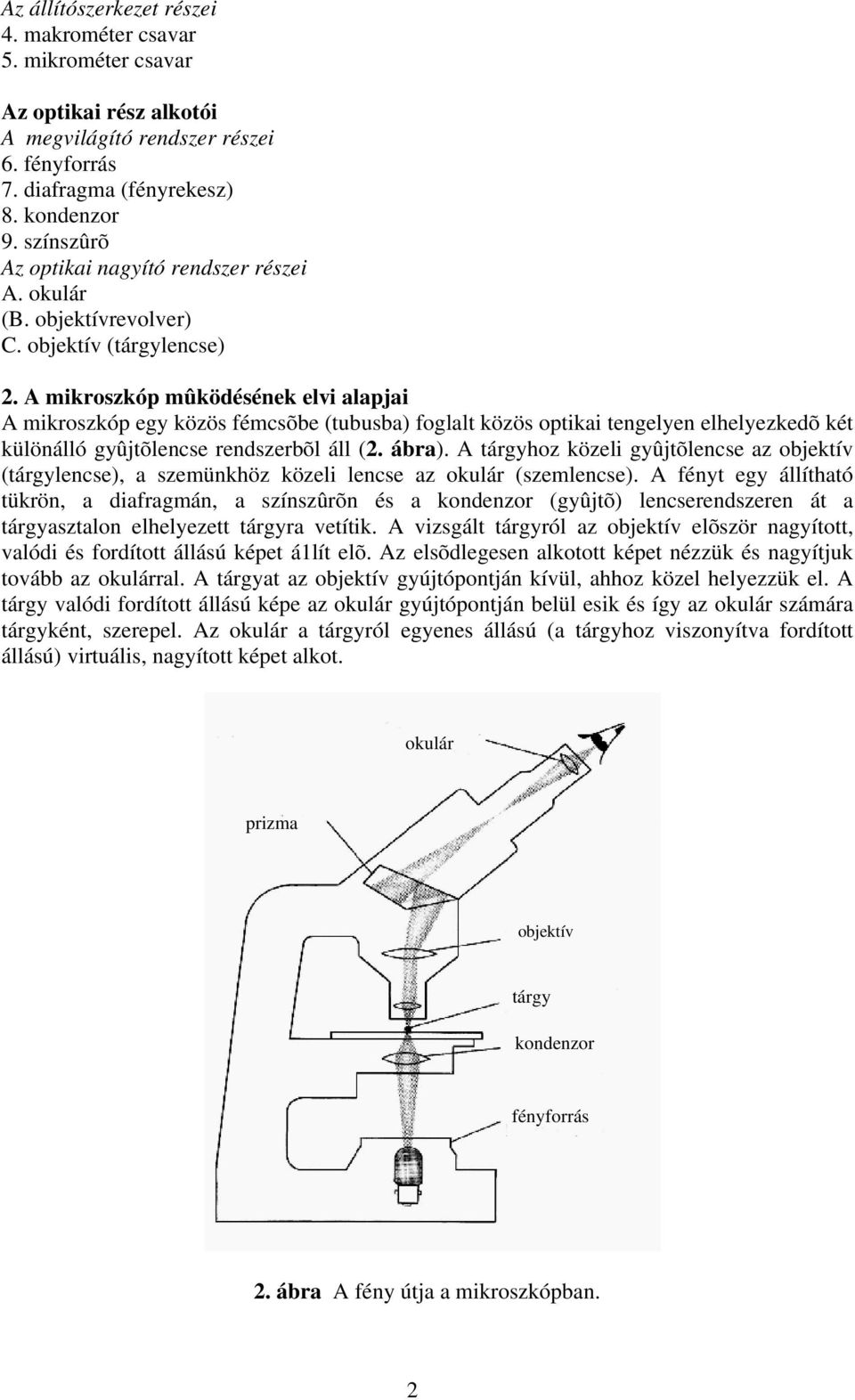 A mikroszkóp mûködésének elvi alapjai A mikroszkóp egy közös fémcsõbe (tubusba) foglalt közös optikai tengelyen elhelyezkedõ két különálló gyûjtõlencse rendszerbõl áll (2. ábra).