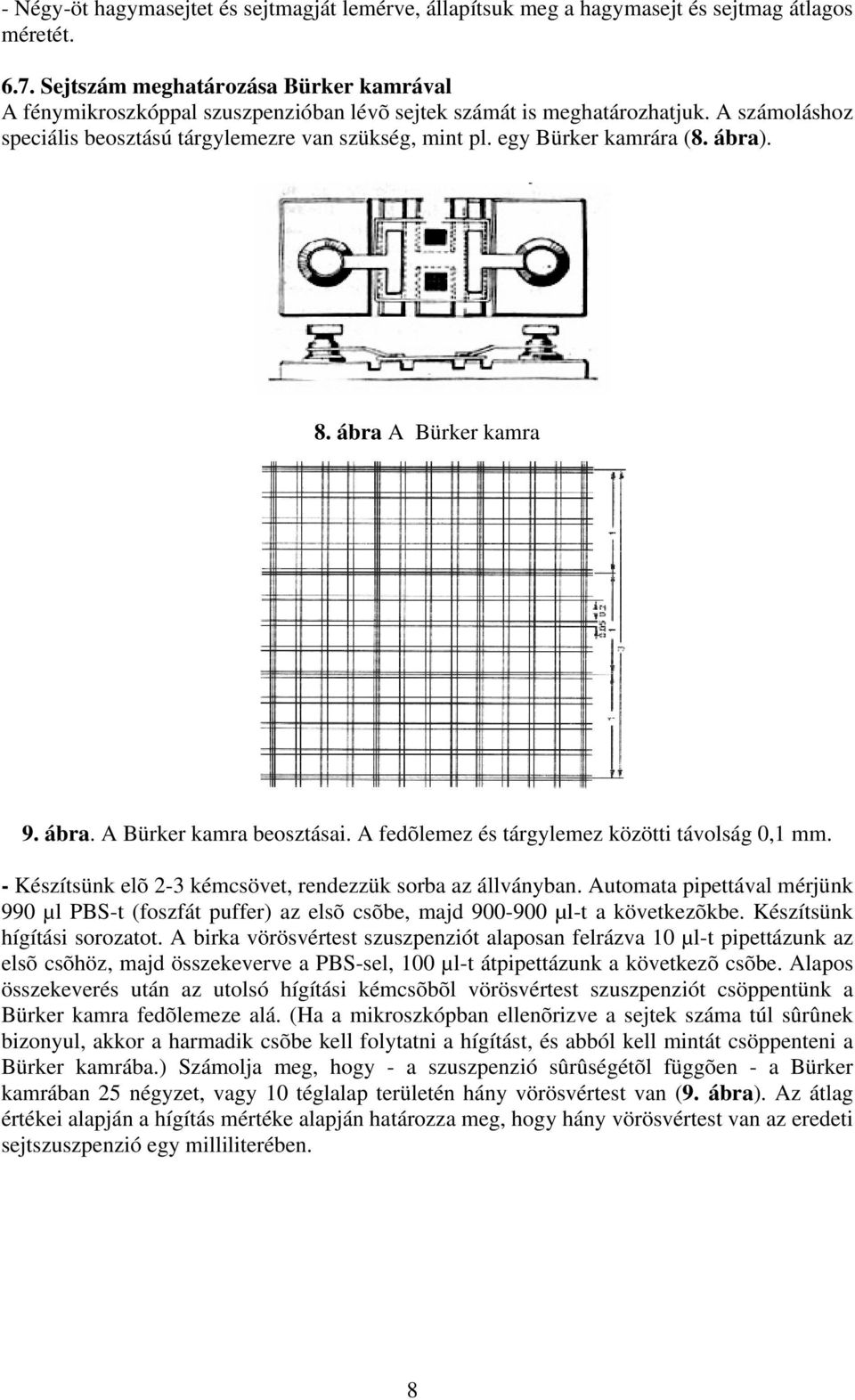 egy Bürker kamrára (8. ábra). 8. ábra A Bürker kamra 9. ábra. A Bürker kamra beosztásai. A fedõlemez és tárgylemez közötti távolság 0,1 mm.