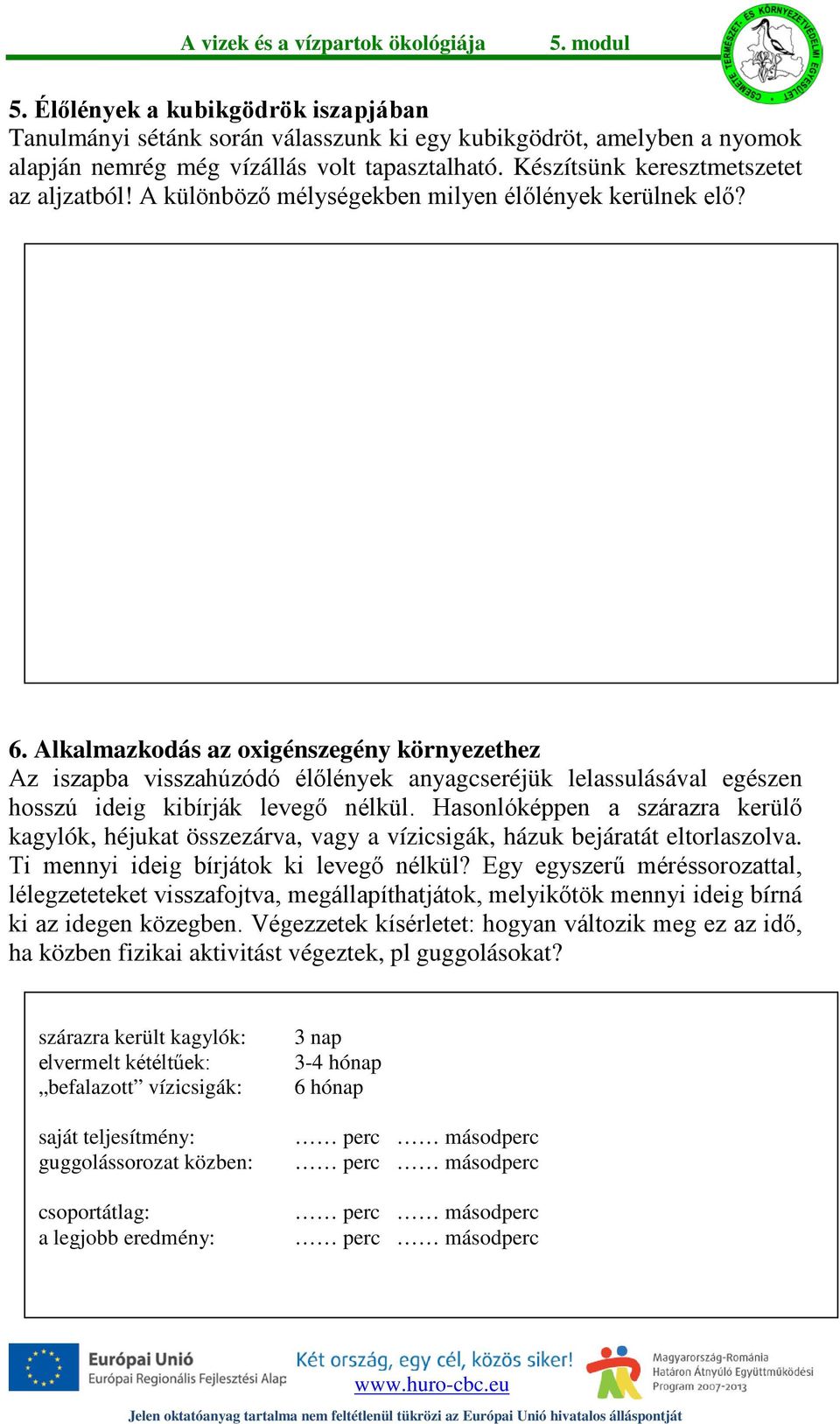 Alkalmazkodás az oxigénszegény környezethez Az iszapba visszahúzódó élőlények anyagcseréjük lelassulásával egészen hosszú ideig kibírják levegő nélkül.