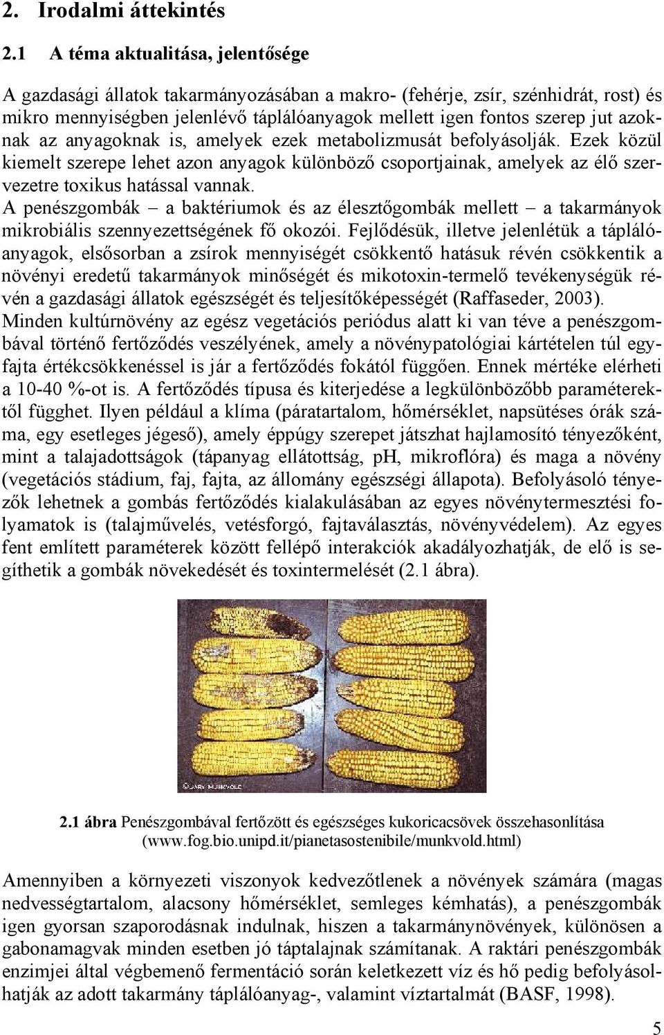 azoknak az anyagoknak is, amelyek ezek metabolizmusát befolyásolják. Ezek közül kiemelt szerepe lehet azon anyagok különböző csoportjainak, amelyek az élő szervezetre toxikus hatással vannak.