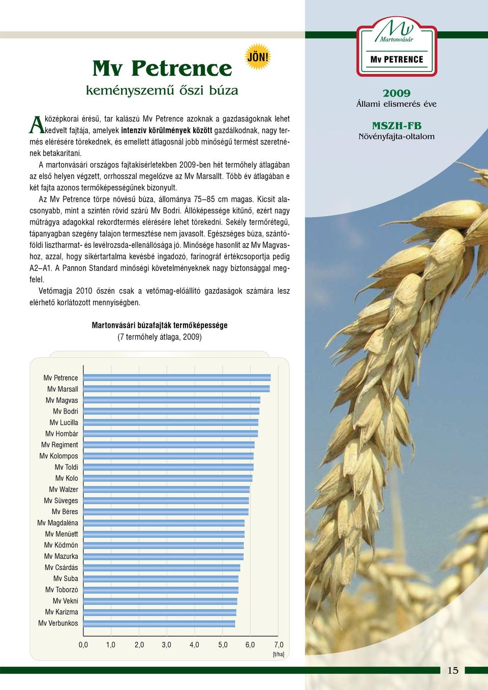 jobb minôségû termést szeretnének betakarítani. A martonvásári országos fajtakísérletekben 2009-ben hét termôhely átlagában az elsô helyen végzett, orrhosszal megelôzve az Mv Marsallt.