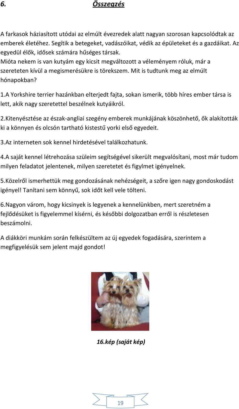 Mit is tudtunk meg az elmúlt hónapokban? 1.A Yorkshire terrier hazánkban elterjedt fajta, sokan ismerik, több híres ember társa is lett, akik nagy szeretettel beszélnek kutyáikról. 2.