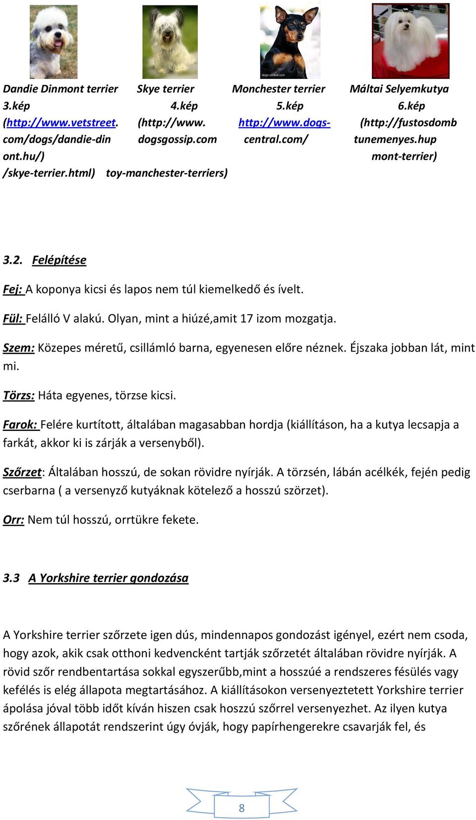 Felépítése Fej: A koponya kicsi és lapos nem túl kiemelkedő és ívelt. Fül: Felálló V alakú. Olyan, mint a hiúzé,amit 17 izom mozgatja. Szem: Közepes méretű, csillámló barna, egyenesen előre néznek.