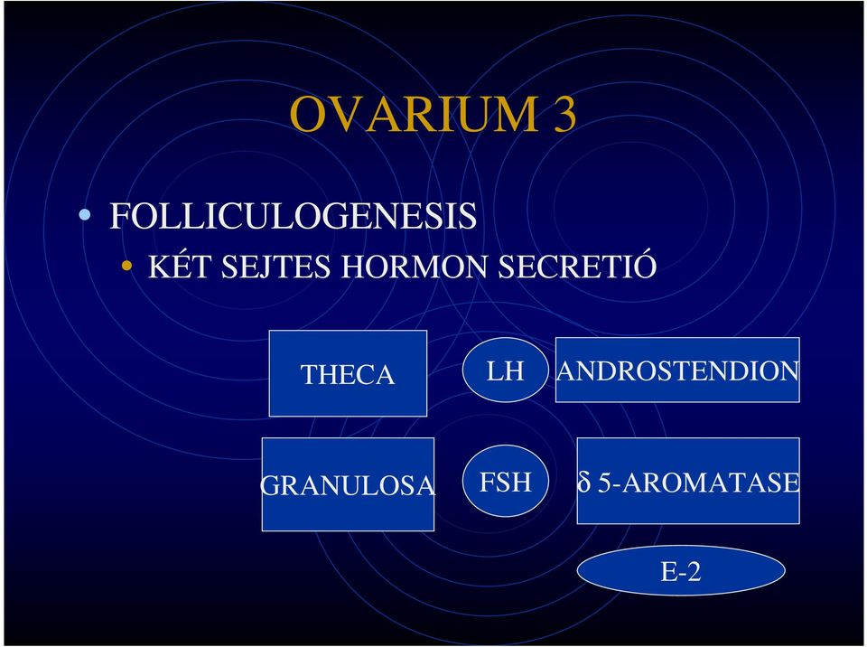 THECA LH ANDROSTENDION