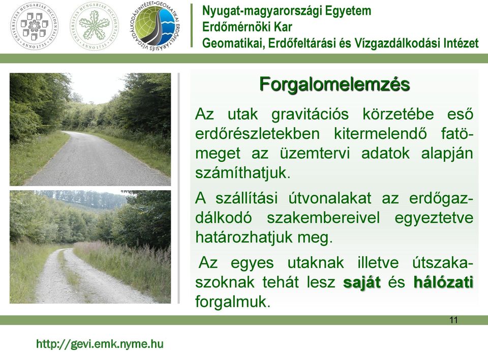 A szállítási útvonalakat az erdőgazdálkodó szakembereivel egyeztetve
