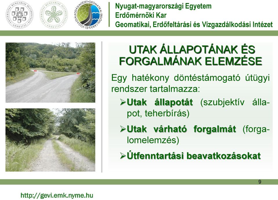 állapotát (szubjektív állapot, teherbírás) Utak