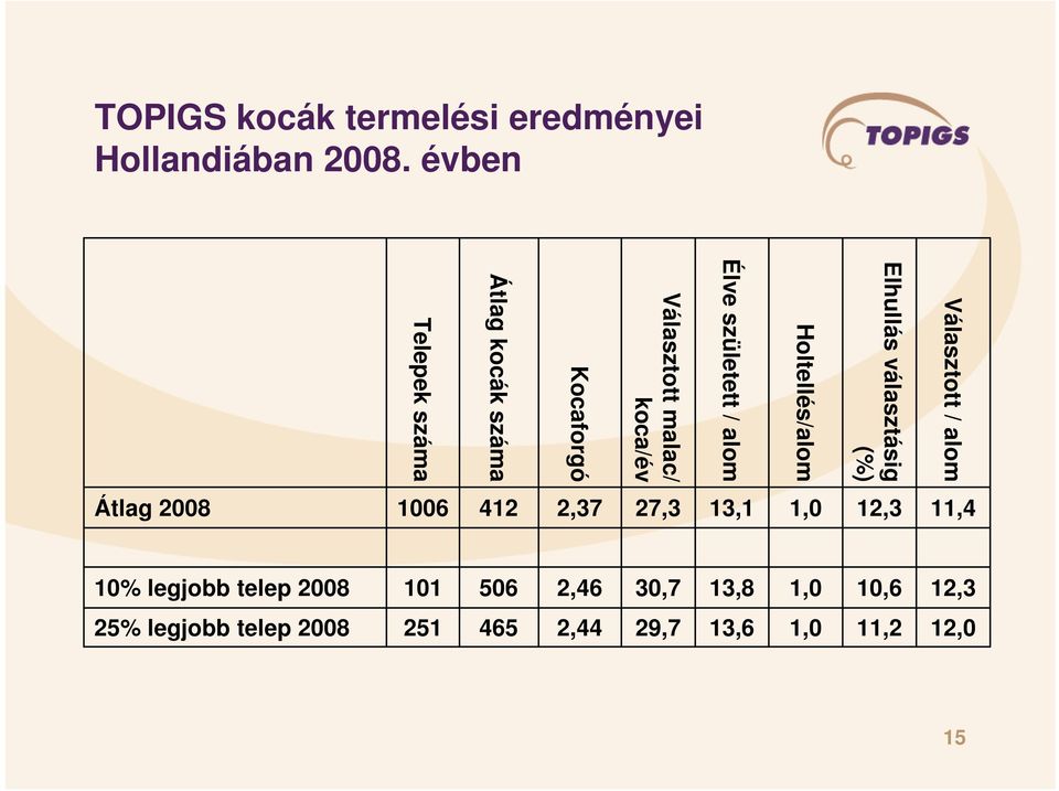 Hollandiában 2008.