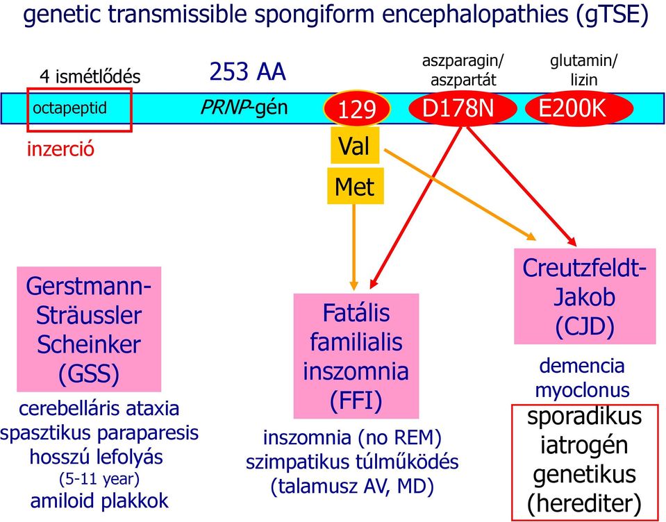 cerebelláris ataxia spasztikus paraparesis hosszú lefolyás (5-11 year) amiloid plakkok Fatális familialis inszomnia