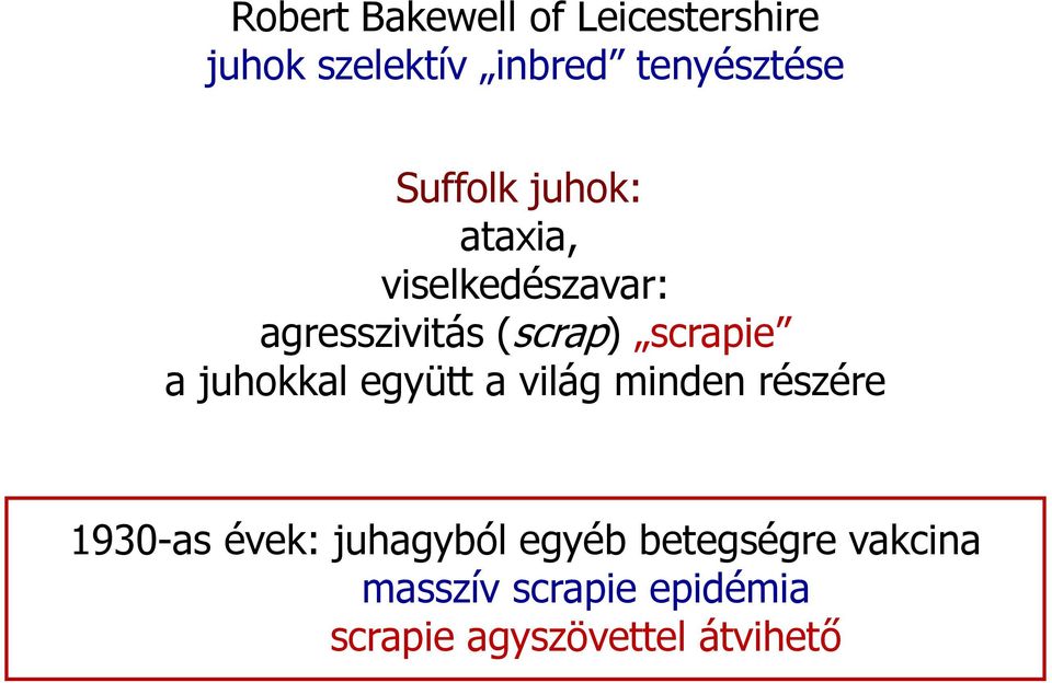 a juhokkal együtt a világ minden részére 1930-as évek: juhagyból egyéb