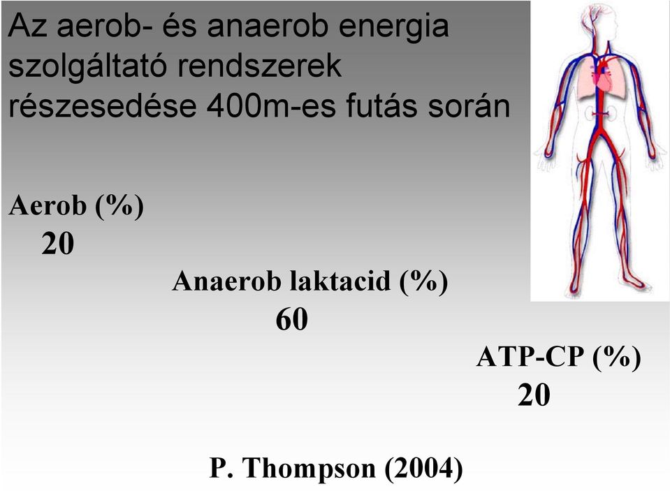 400m-es futás során Aerob (%) 20