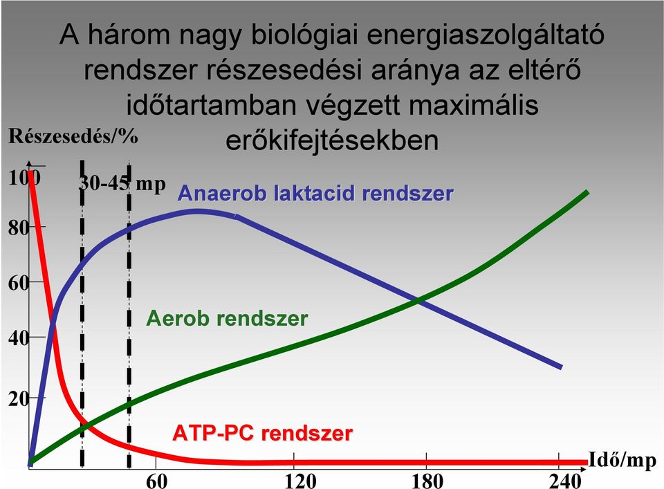 erőkifejtésekben Részesedés/% 100 80 30-45 mp Anaerob