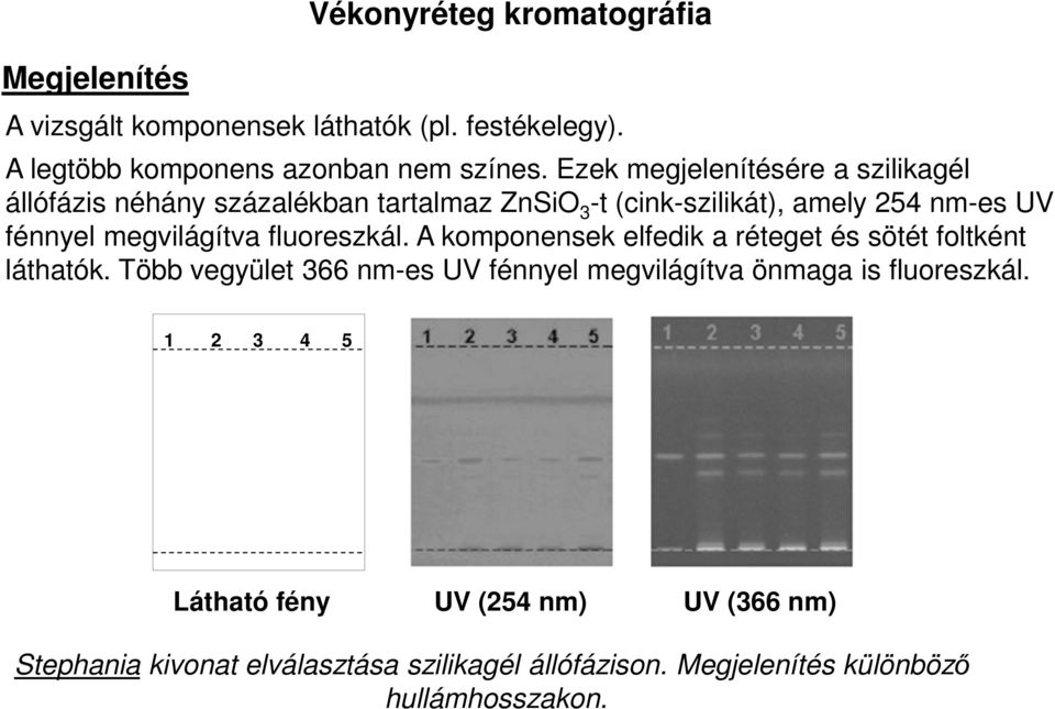 megvilágítva fluoreszkál. A komponensek elfedik a réteget és sötét foltként láthatók.