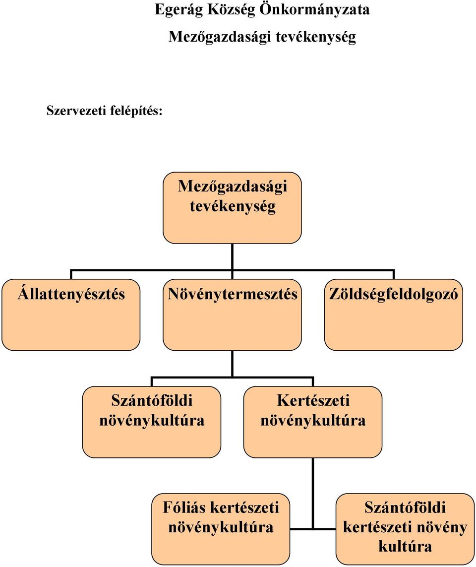 Szántóföldi növénykultúra Kertészeti növénykultúra