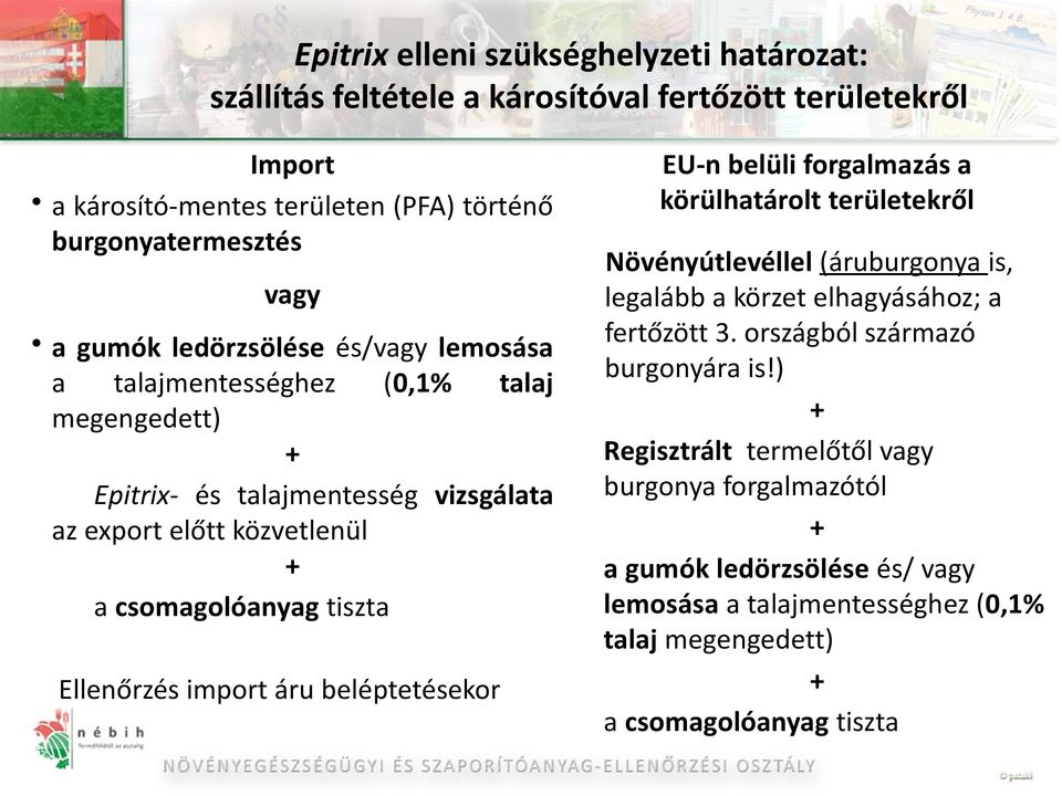 import áru beléptetésekor EU-n belüli forgalmazás a körülhatárolt területekről Növényútlevéllel (áruburgonya is, legalább a körzet elhagyásához; a fertőzött 3.