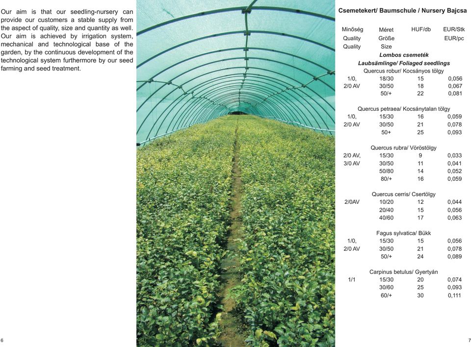 Csemetekert/ Baumschule / Nursery Bajcsa Minõség Méret HUF/db EUR/Stk Größe EUR/pc Size Lombos csemeték Laubsämlinge/ Foliaged seedlings Quercus robur/ Kocsányos tölgy 1/0, 18/30 15 0,056 2/0 AV