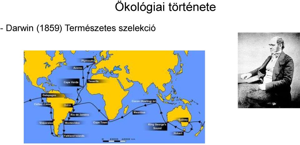 Természetes