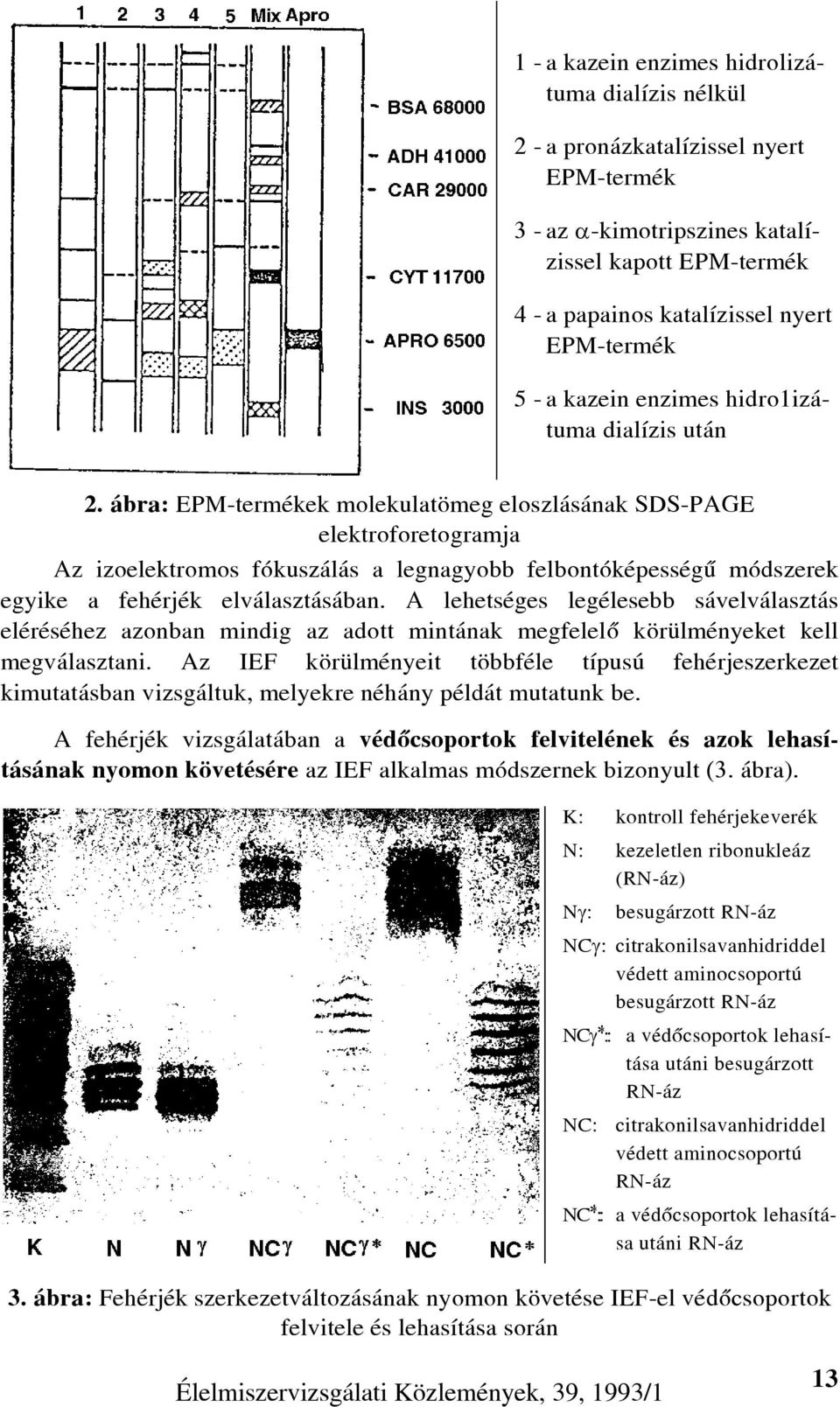 ábra: EPM-termékek molekulatömeg eloszlásának SDS-PAGE elektroforetogramja Az izoelektromos fókuszálás a legnagyobb felbontóképességû módszerek egyike a fehérjék elválasztásában.