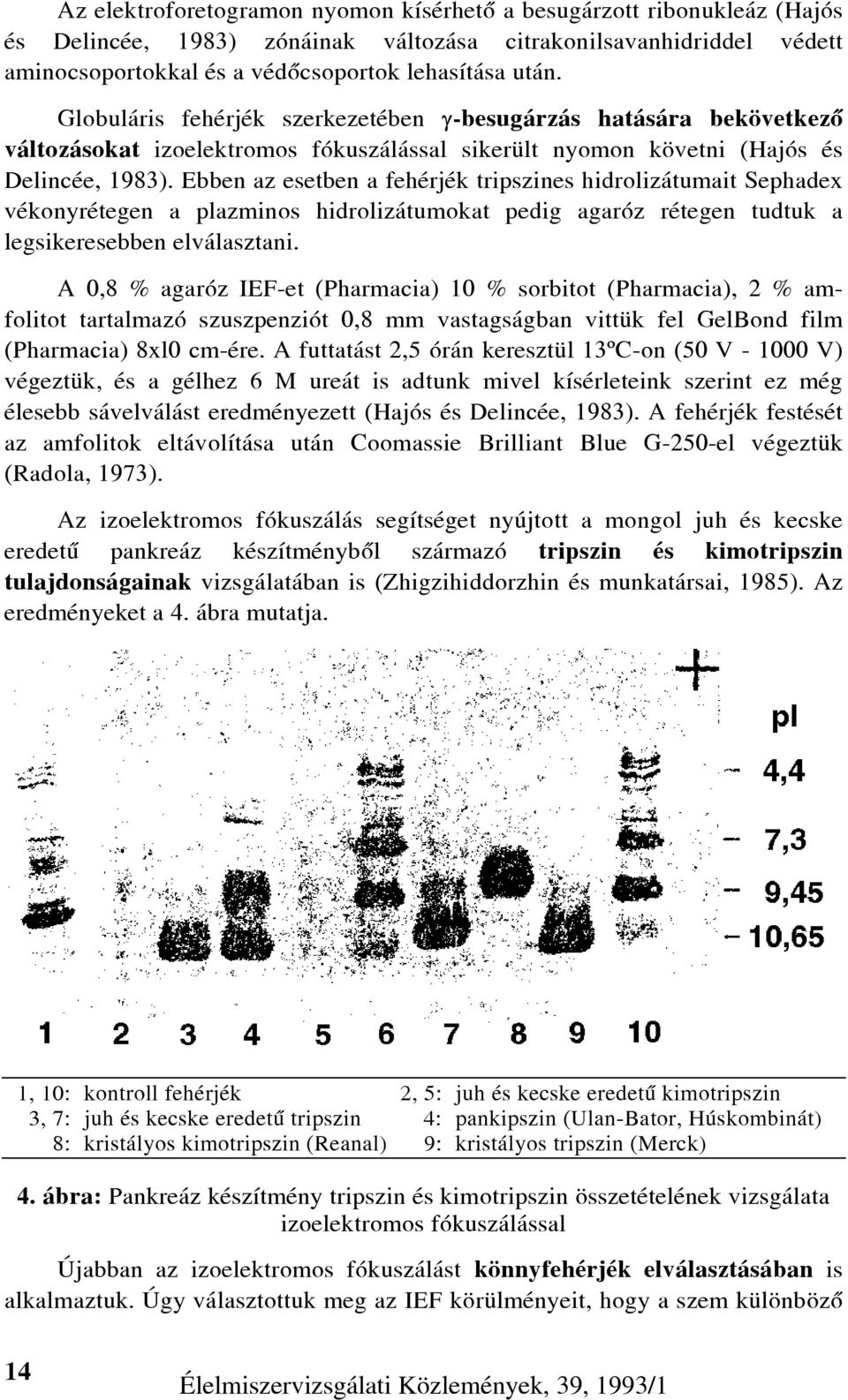 Ebben az esetben a fehérjék tripszines hidrolizátumait Sephadex vékonyrétegen a plazminos hidrolizátumokat pedig agaróz rétegen tudtuk a legsikeresebben elválasztani.