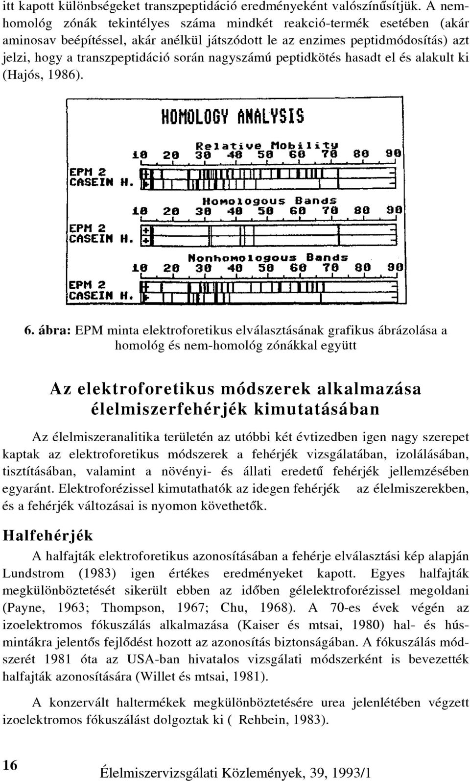 nagyszámú peptidkötés hasadt el és alakult ki (Hajós, 1986). 6.