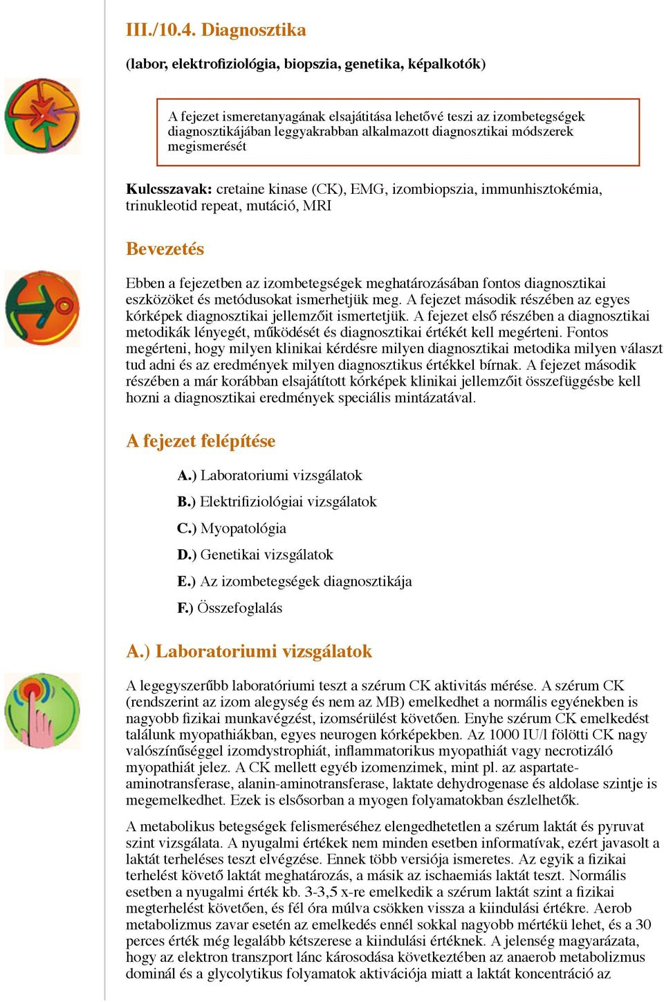 diagnosztikai módszerek megismerését Kulcsszavak: cretaine kinase (CK), EMG, izombiopszia, immunhisztokémia, trinukleotid repeat, mutáció, MRI Bevezetés Ebben a fejezetben az izombetegségek