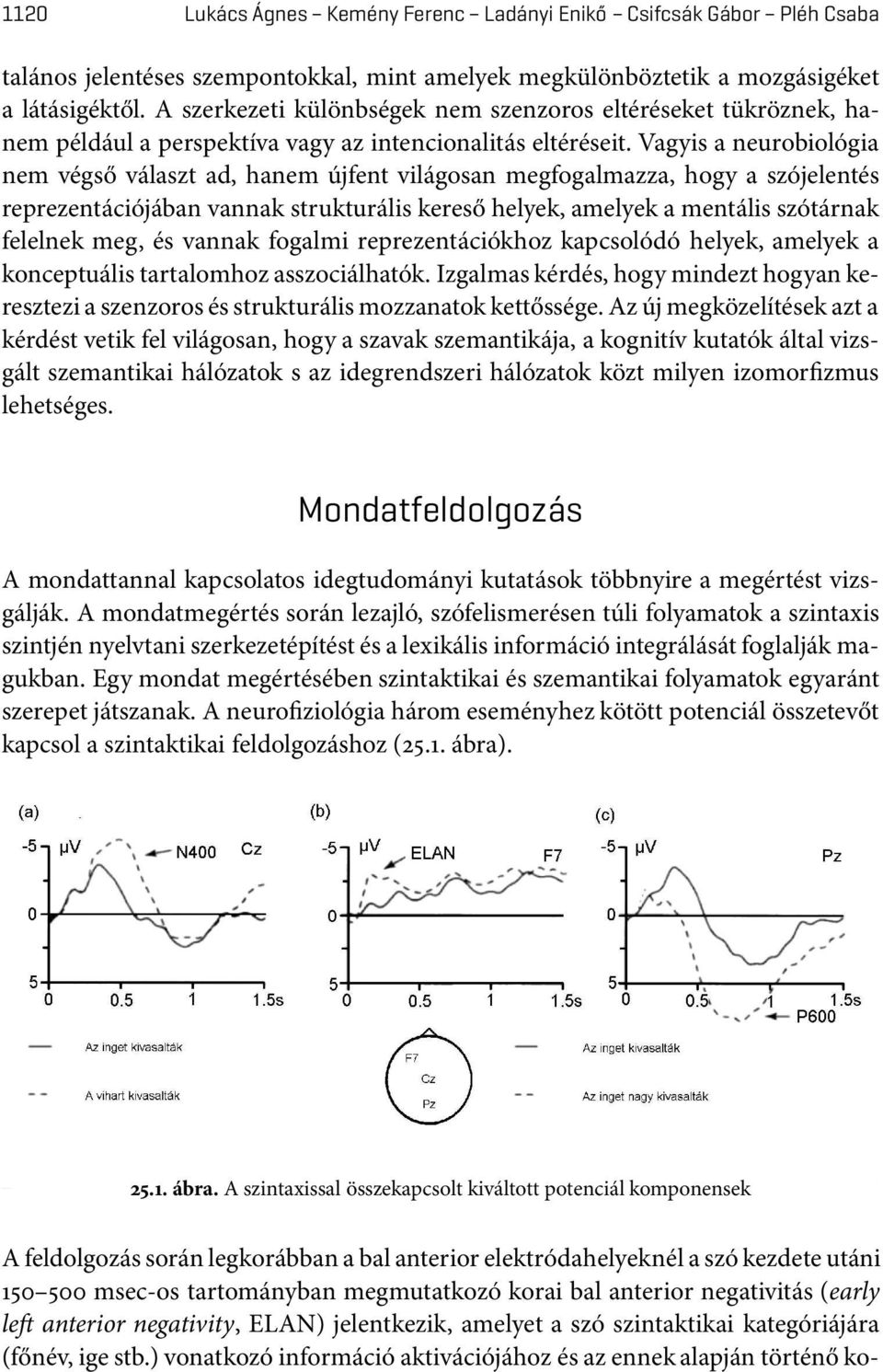 Vagyis a neurobiológia nem végső választ ad, hanem újfent világosan megfogalmazza, hogy a szójelentés reprezentációjában vannak strukturális kereső helyek, amelyek a mentális szótárnak felelnek meg,