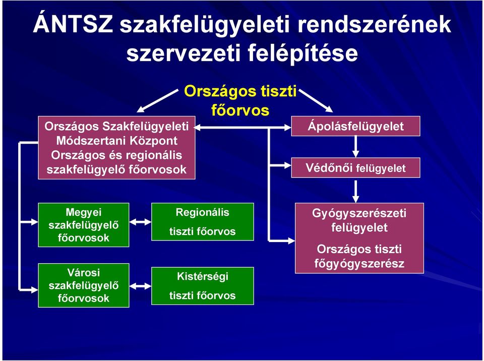 Ápolásfelügyelet Védőnői felügyelet Megyei szakfelügyelő főorvosok Városi szakfelügyelő