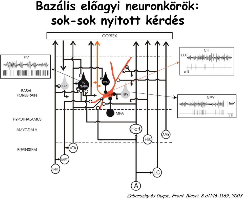 nyitott kérdés Zaborszky