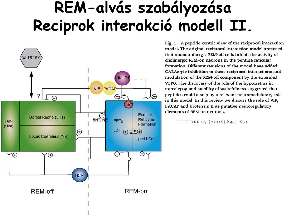 Reciprok