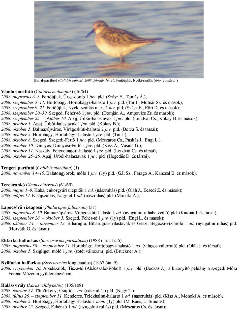 , Eőri D. és mások); 2008. szeptember 20 30. Szeged, Fehér-tó 1 juv. pld. (Domján A., Ampovics Zs. és mások); 2008. szeptember 25. október 10. Apaj, Ürbői-halastavak 1 juv. pld. (Lendvai Cs., Kókay B.