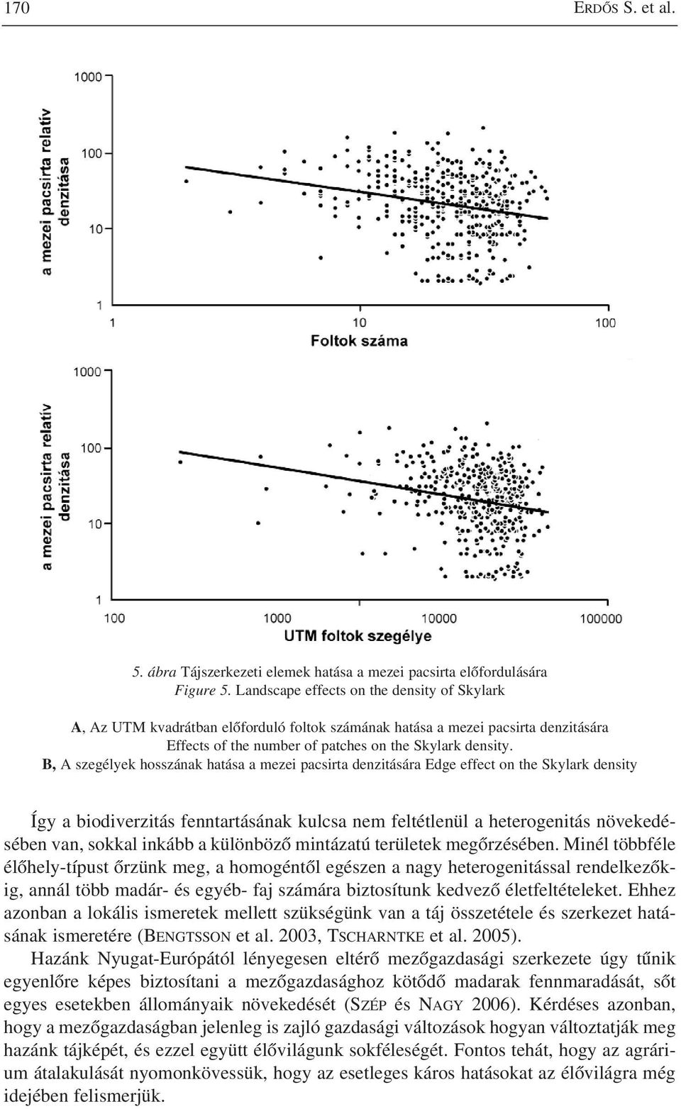 B, A szegélyek hosszának hatása a mezei pacsirta denzitására Edge effect on the Skylark density Így a biodiverzitás fenntartásának kulcsa nem feltétlenül a heterogenitás növekedésében van, sokkal