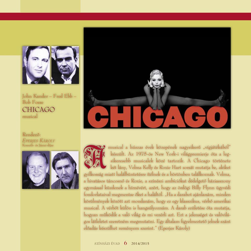 A Chicago története két lány, Velma Kelly és Roxie Hart sorsát mutatja be, akiket gyilkosság miatt halálbüntetésre ítélnek és a börtönben találkoznak.
