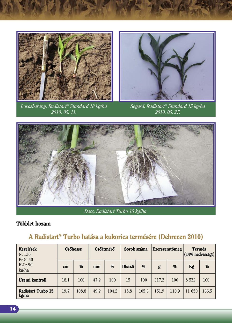 Csôhossz Csôátmérô Sorok száma Ezerszemtömeg Termés N: 136 (14% nedvességt) P2O5: 40 K2O: 90 kg/ha cm % mm % Db/csô % g %