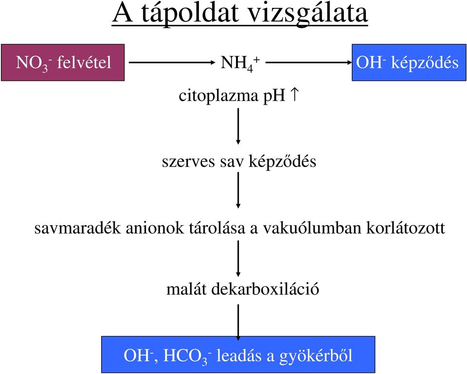 savmaradék anionok tárolása a vakuólumban