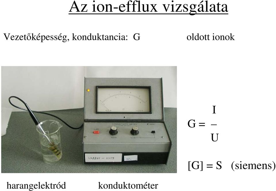 G oldott ionok I G = U [G] = S