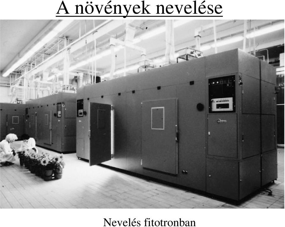 nevelése