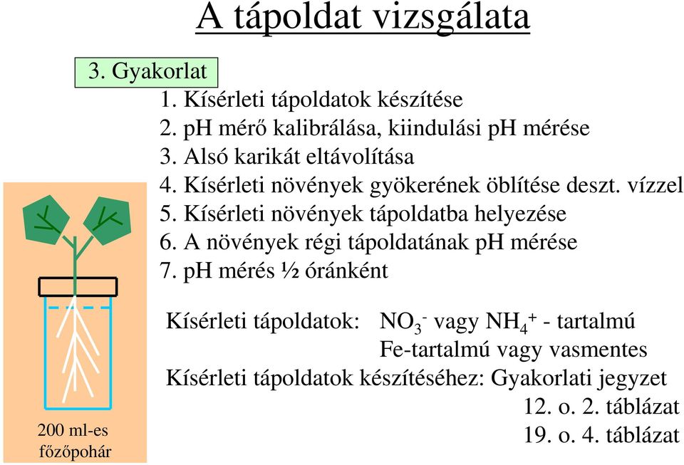 Kísérleti növények tápoldatba helyezése 6. A növények régi tápoldatának ph mérése 7.