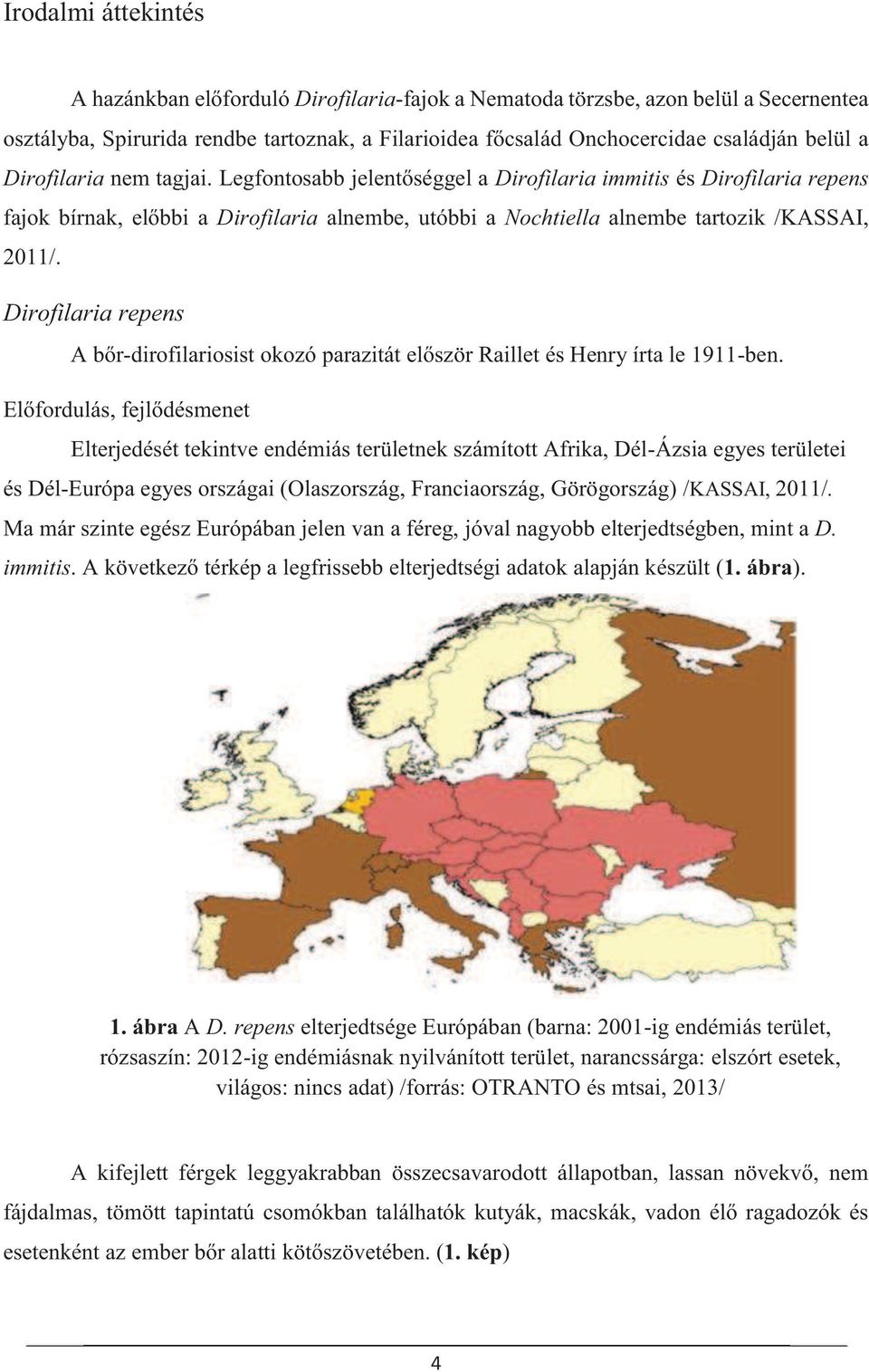 Dirofilaria repens A bőr-dirofilariosist okozó parazitát először Raillet és Henry írta le 1911-ben.