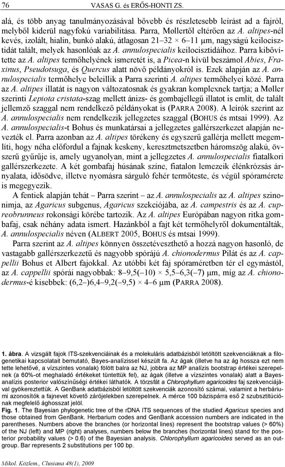 altipes termőhelyének ismeretét is, a Picea-n kívül beszámol Abies, Fraxinus, Pseudotsuga, és Quercus alatt növő példányokról is. Ezek alapján az A.