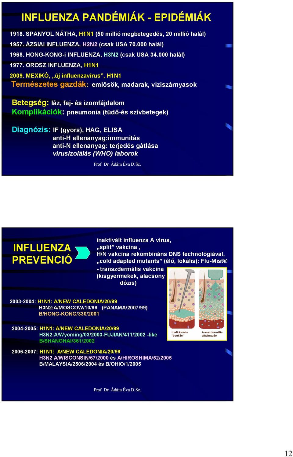 MEXIKÓ, új influenzavírus, H1N1 Természetes gazdák: emlısök, madarak, víziszárnyasok Betegség: láz, fej- és izomfájdalom Komplikációk: pneumonia (tüdı-és szívbetegek) Diagnózis: IF (gyors), HAG,