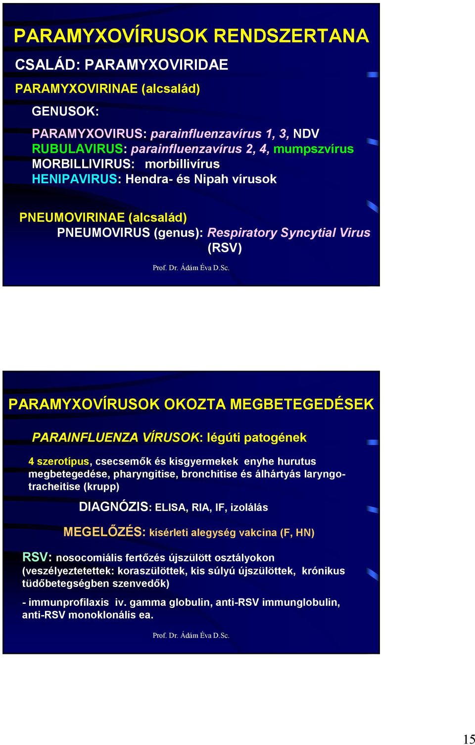 légúti patogének 4 szerotípus, csecsemık és kisgyermekek enyhe hurutus megbetegedése, pharyngitise, bronchitise és álhártyás laryngotracheitise (krupp) DIAGNÓZIS: ELISA, RIA, IF, izolálás MEGELİZÉS: